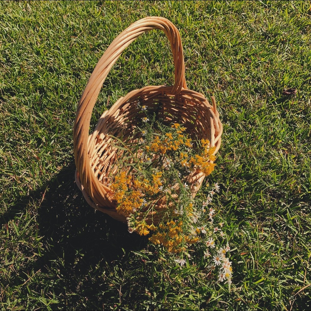 Meet your Posher, Madeline